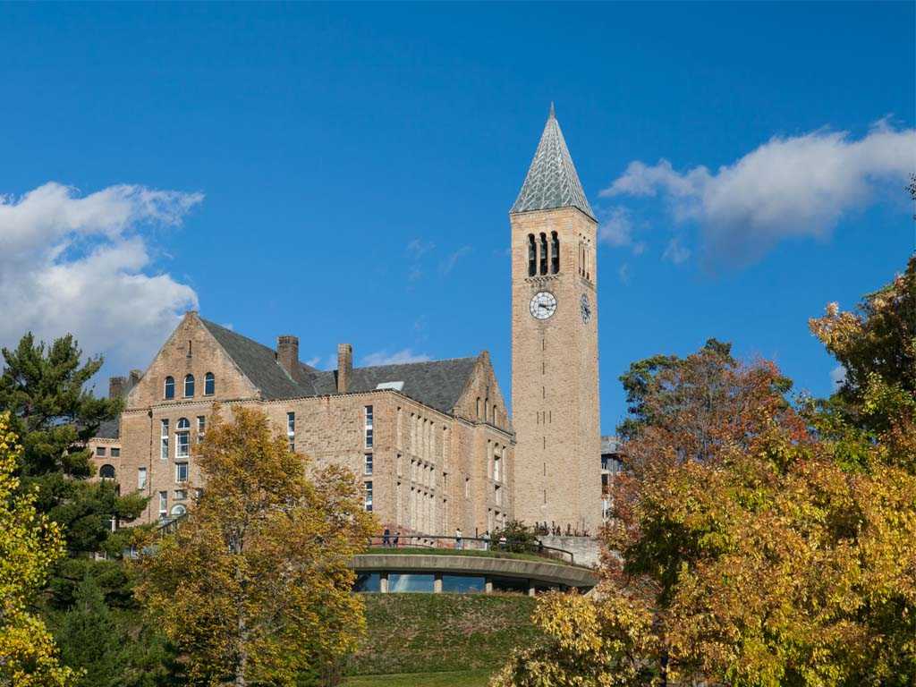 cornell acceptance rate