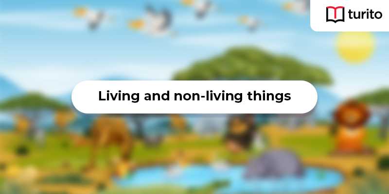 Living things and non-living things