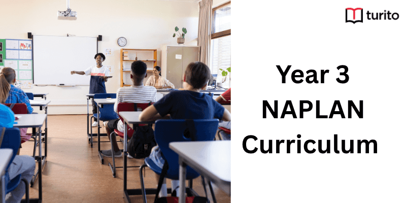Year 3 NAPLAN Curriculum