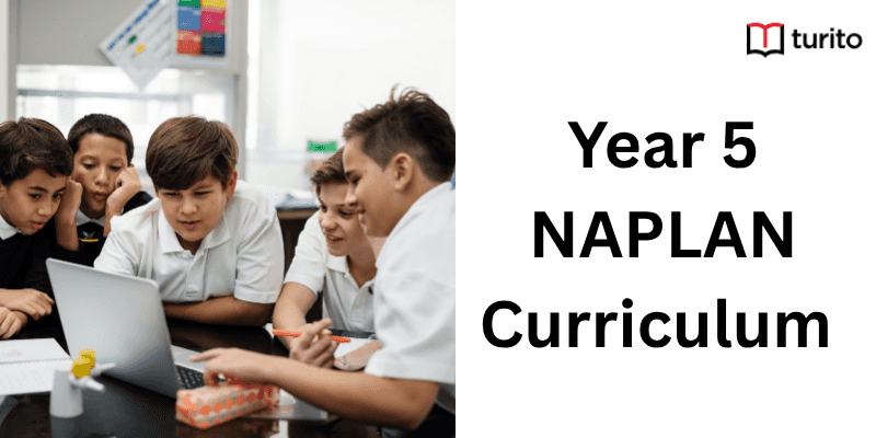 5 NAPLAN Curriculum