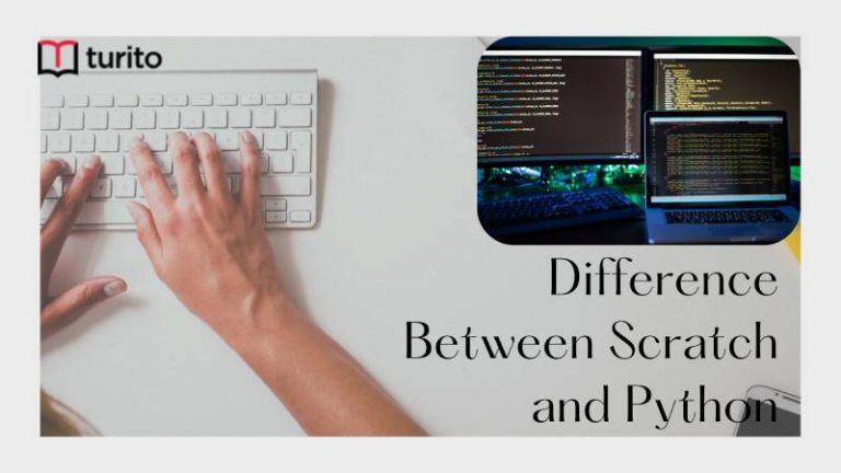 Difference Between Scratch and Python