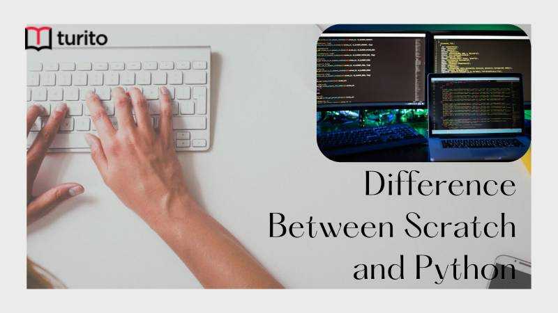 Difference Between Scratch and Python