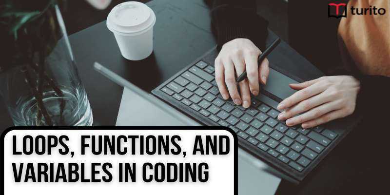 Loops Functions and Variables in Coding