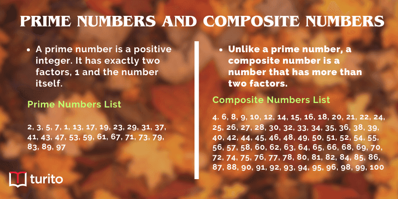 Prime Numbers and Composite Numbers